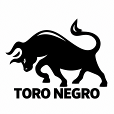 Toro Negro